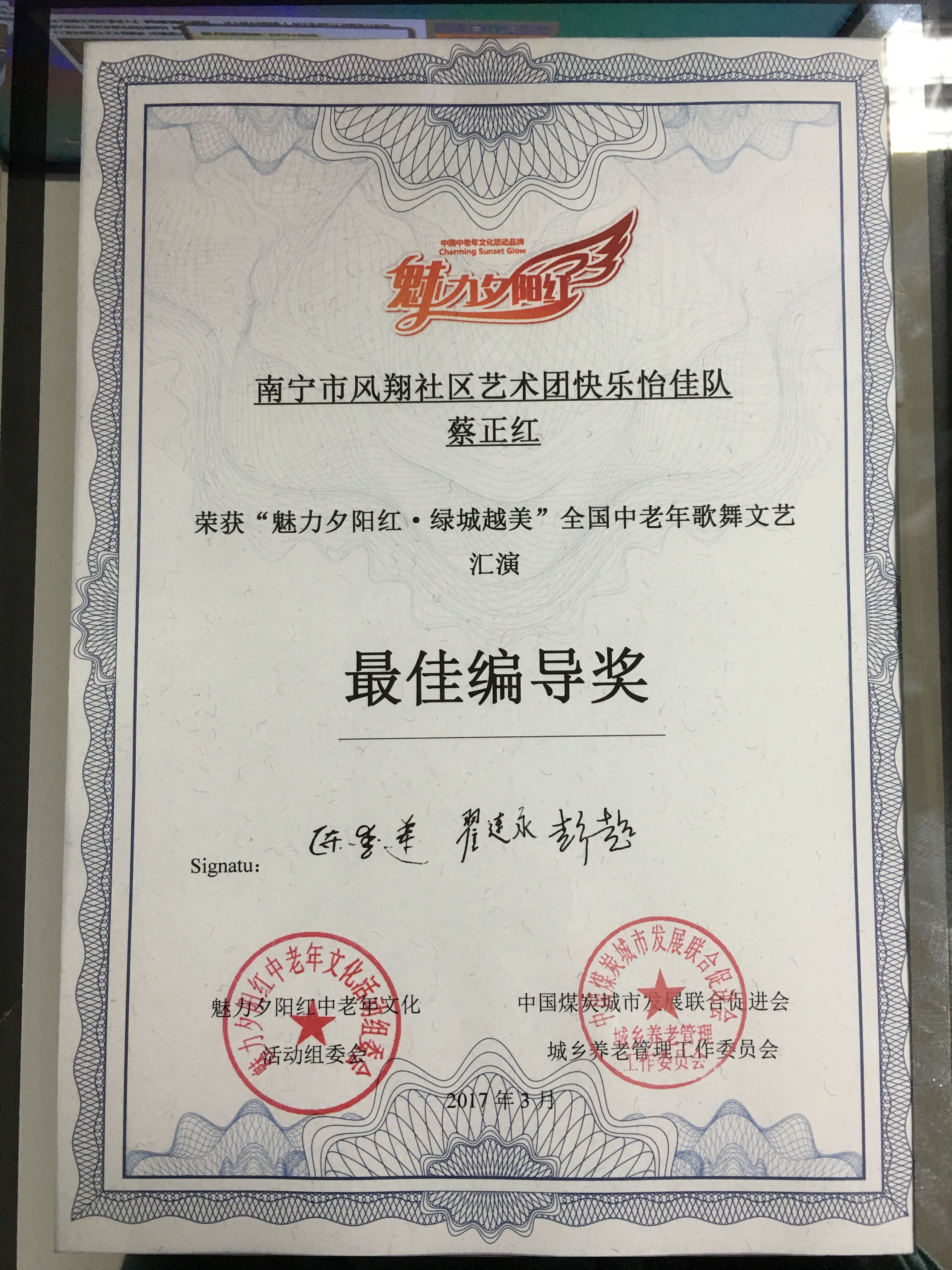 1492398171201517.jpg 最佳编导奖.jpg